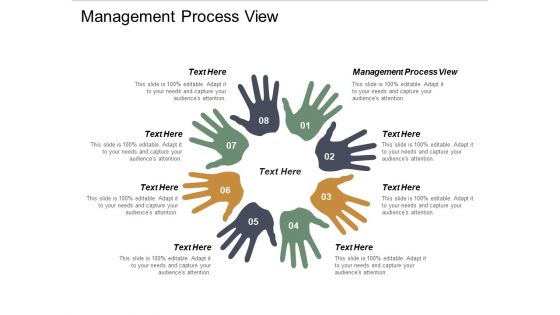 Management Process View Ppt PowerPoint Presentation Pictures Show Cpb