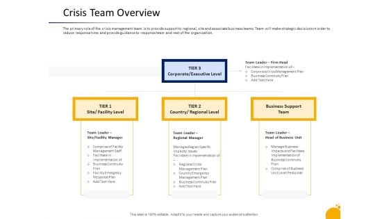 Management Program Presentation Crisis Team Overview Ppt Model Gridlines PDF