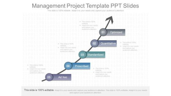Management Project Template Ppt Slides