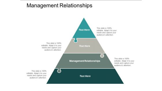 Management Relationships Ppt PowerPoint Presentation Summary Ideas