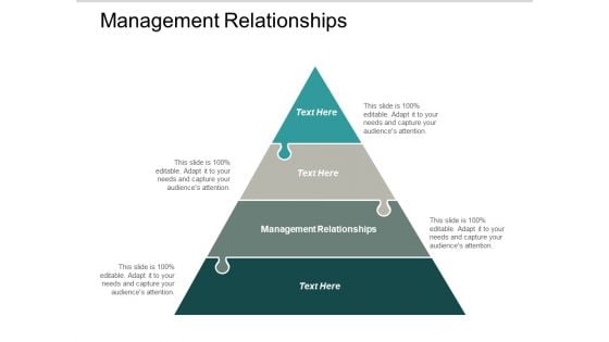 Management Relationships Ppt PowerPoint Presentation Summary Ideas