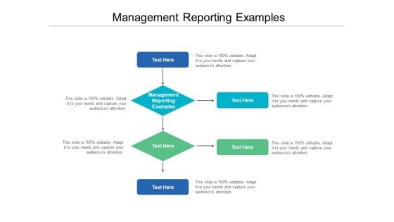 Management Reporting Examples Ppt PowerPoint Presentation Outline Example Cpb