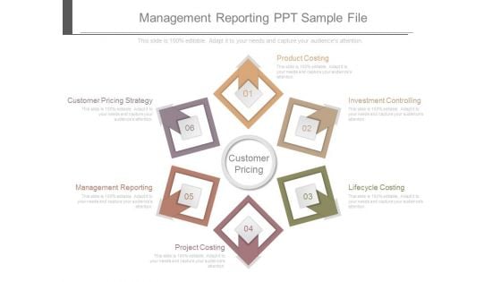 Management Reporting Ppt Sample File