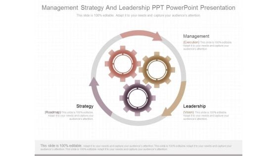 Management Strategy And Leadership Ppt Powerpoint Presentation