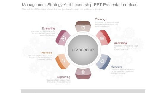 Management Strategy And Leadership Ppt Presentation Ideas