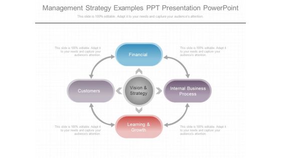 Management Strategy Examples Ppt Presentation Powerpoint