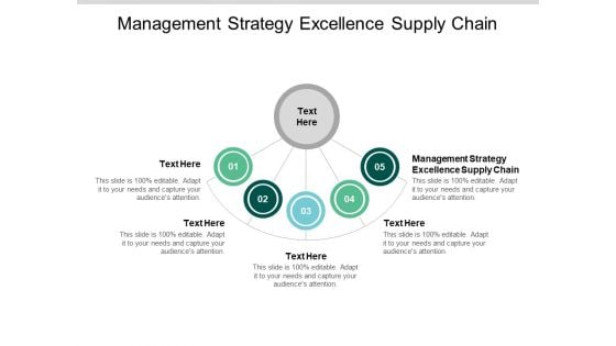 Management Strategy Excellence Supply Chain Ppt PowerPoint Presentation Outline Example Cpb