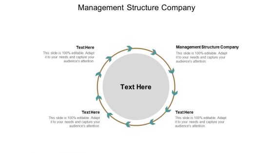 Management Structure Company Ppt PowerPoint Presentation Professional Structure Cpb