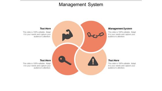 Management System Ppt PowerPoint Presentation Pictures Themes Cpb