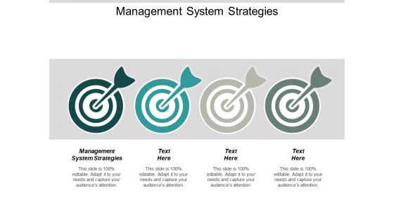 Management System Strategies Ppt PowerPoint Presentation Icon Elements Cpb