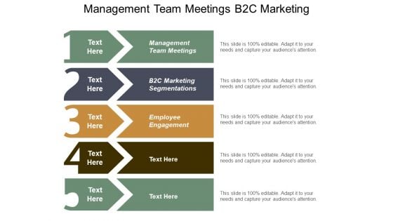 Management Team Meetings B2c Marketing Segmentations Employee Engagement Ppt PowerPoint Presentation Visual Aids Portfolio