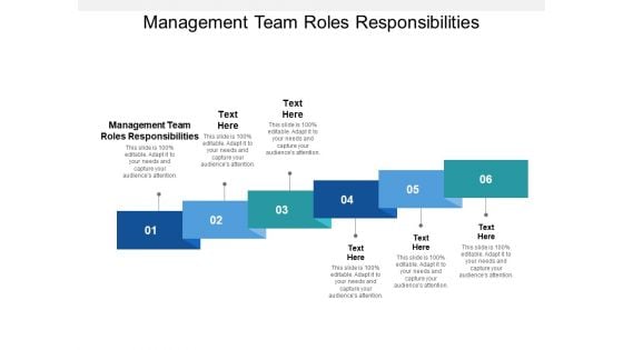 Management Team Roles Responsibilities Ppt PowerPoint Presentation File Layout Cpb