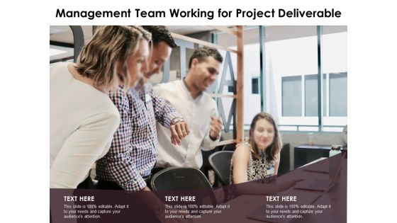 Management Team Working For Project Deliverable Ppt PowerPoint Presentation Gallery Brochure PDF