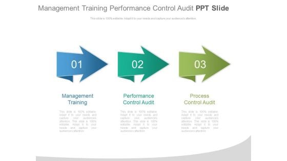 Management Training Performance Control Audit Ppt Slide