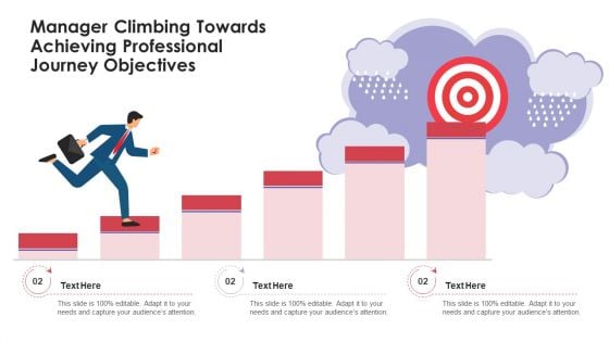 Manager Climbing Towards Achieving Professional Journey Objectives Summary PDF