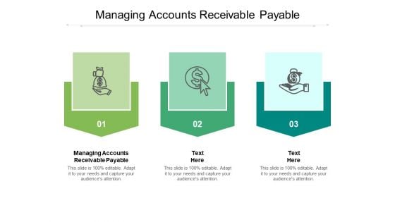 Managing Accounts Receivable Payable Ppt PowerPoint Presentation Gallery Example File Cpb Pdf