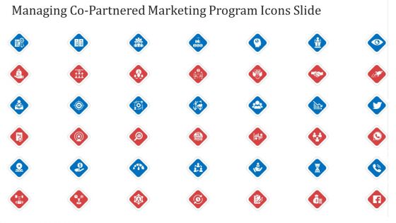 Managing Co Partnered Marketing Program Icons Slide Ppt Styles Good PDF