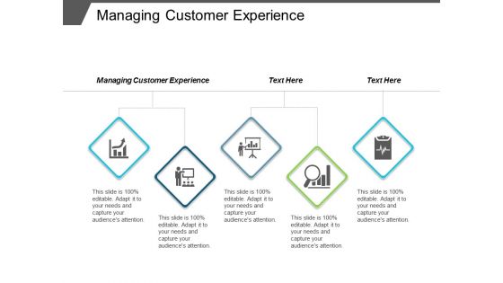 Managing Customer Experience Ppt Powerpoint Presentation Icon Shapes Cpb