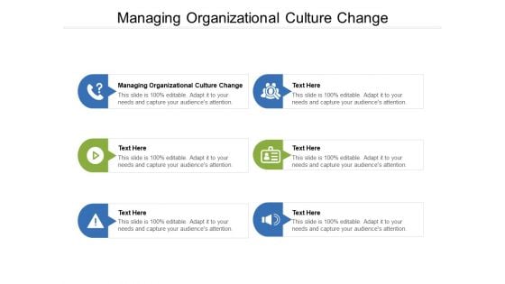 Managing Organizational Culture Change Ppt PowerPoint Presentation File Outfit Cpb