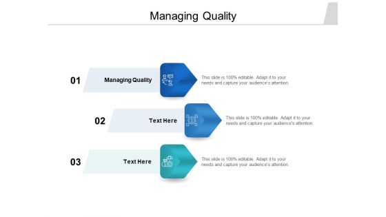 Managing Quality Ppt PowerPoint Presentation File Demonstration Cpb