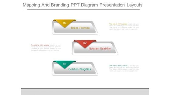 Mapping And Branding Ppt Diagram Presentation Layouts