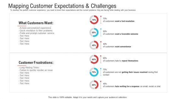 Mapping Customer Expectations And Challenges Ppt Pictures Mockup PDF