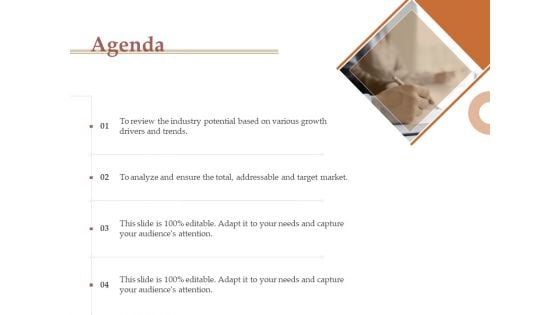 Market Assessment Agenda Ppt Infographics Example File PDF