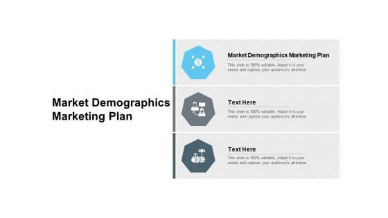 Market Demographics Marketing Plan Ppt PowerPoint Presentation Professional Ideas Cpb