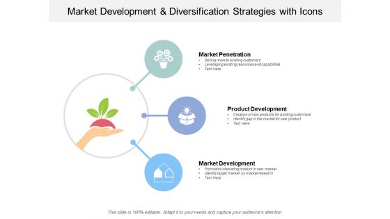 Market Development And Diversification Strategies With Icons Ppt PowerPoint Presentation Styles Professional