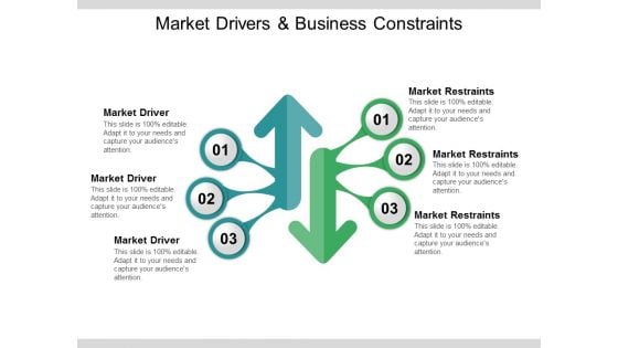 Market Drivers And Business Constraints Ppt PowerPoint Presentation Summary Examples