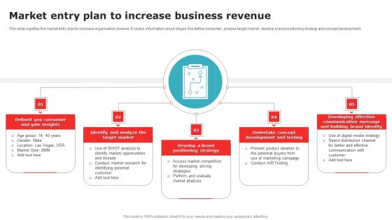 Market Entry Plan To Increase Business Revenue Professional PDF