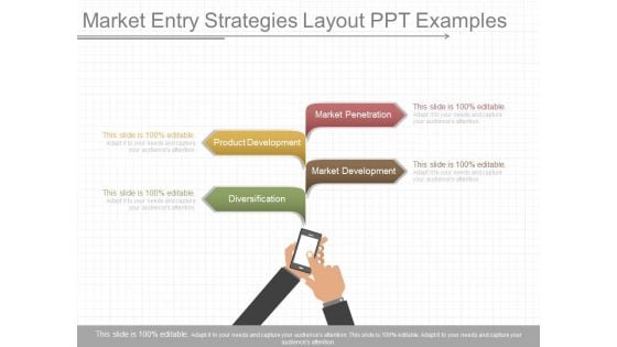 Market Entry Strategies Layout Ppt Examples