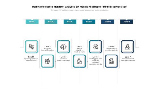 Market Intelligence Multilevel Analytics Six Months Roadmap For Medical Services Sect Template