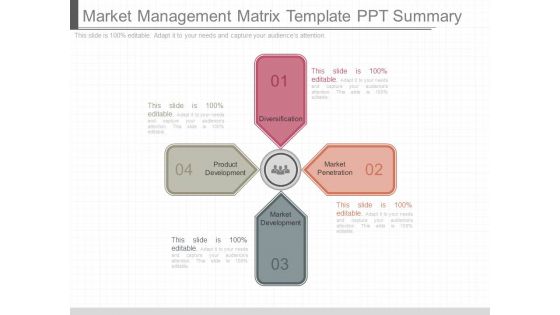 Market Management Matrix Template Ppt Summary