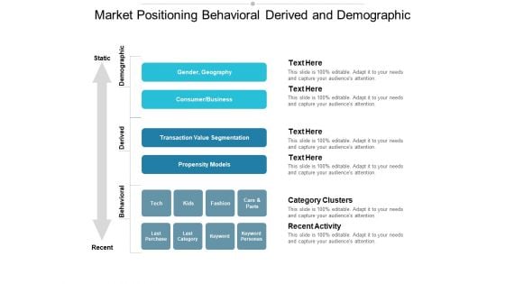 Market Positioning Behavioral Derived And Demographic Ppt PowerPoint Presentation Ideas Gridlines