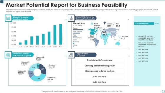 Market Potential Report For Business Feasibility Pictures PDF
