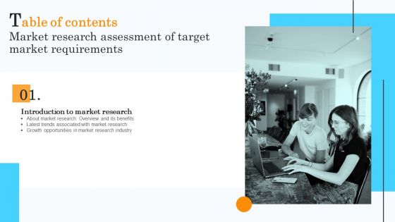 Market Research Assessment Of Target Market Requirements Table Of Contents Professional PDF