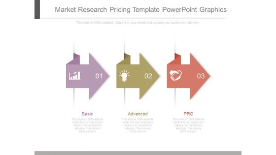 Market Research Pricing Template Powerpoint Graphics