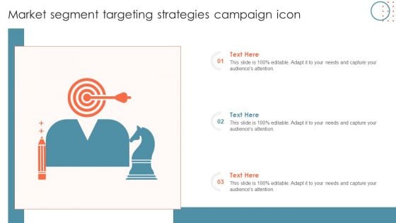 Market Segment Targeting Strategies Campaign Icon Infographics PDF