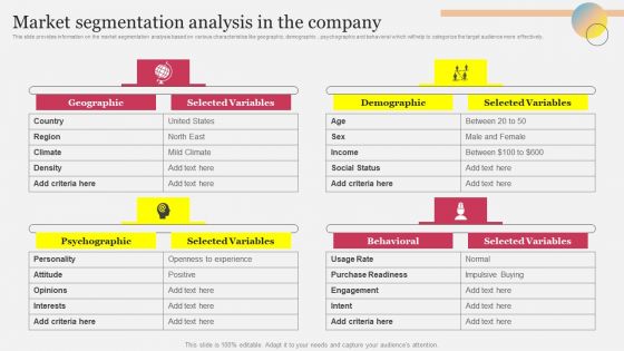 Market Segmentation Analysis In The Company Ppt Layouts Introduction PDF