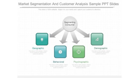 Market Segmentation And Customer Analysis Sample Ppt Slides