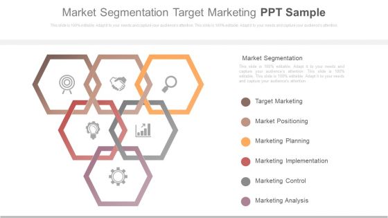 Market Segmentation Target Marketing Ppt Sample Market Segmentation Target Marketing Ppt Sample