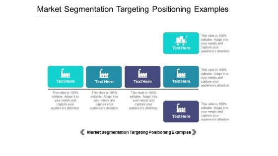 Market Segmentation Targeting Positioning Examples Ppt PowerPoint Presentation Infographics Aids Cpb Pdf