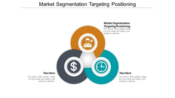 Market Segmentation Targeting Positioning Ppt PowerPoint Presentation Layouts Microsoft Cpb