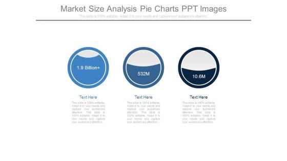 Market Size Analysis Pie Charts Ppt Images