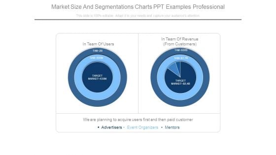 Market Size And Segmentations Charts Ppt Examples Professional