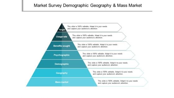 Market Survey Demographic Geography And Mass Market Ppt PowerPoint Presentation Gallery Slide