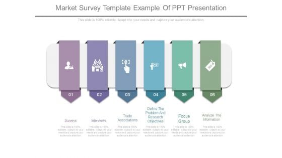 Market Survey Template Example Of Ppt Presentation