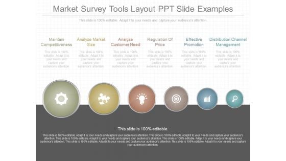 Market Survey Tools Layout Ppt Slide Examples