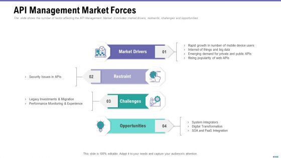 Market Viewpoint Application Programming Interface Governance API Management Market Forces Mockup PDF